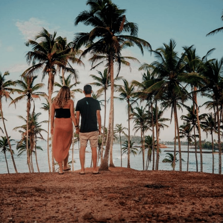 Romance in Paradise 4